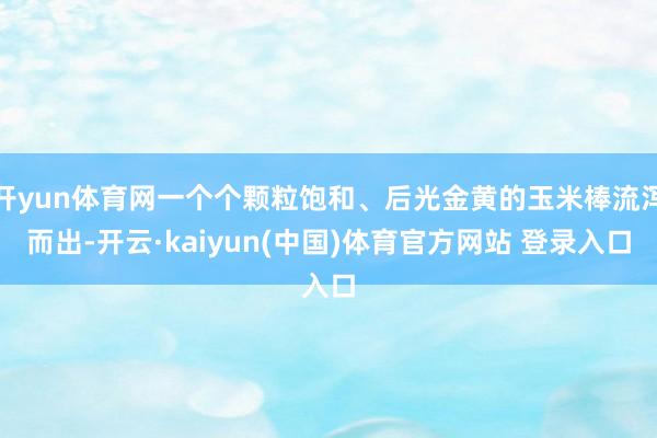 开yun体育网一个个颗粒饱和、后光金黄的玉米棒流泻而出-开云·kaiyun(中国)体育官方网站 登录入口