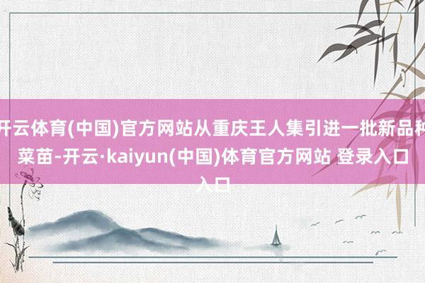 开云体育(中国)官方网站从重庆王人集引进一批新品种菜苗-开云·kaiyun(中国)体育官方网站 登录入口