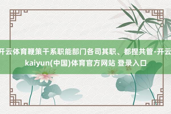 开云体育鞭策干系职能部门各司其职、都捏共管-开云·kaiyun(中国)体育官方网站 登录入口