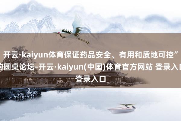 开云·kaiyun体育保证药品安全、有用和质地可控”的圆桌论坛-开云·kaiyun(中国)体育官方网站 登录入口